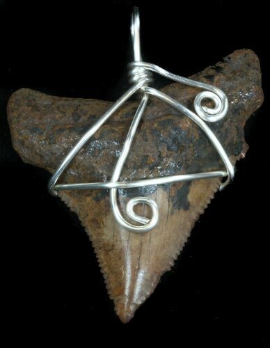 Serrated, Fossil Megalodon Tooth Pendant #36437